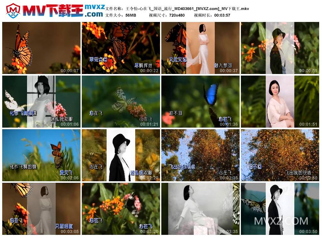 王令怡-心在飞_国语_流行_MD403661